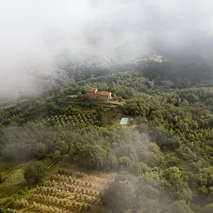Agriturismo Toscanna Alloggio per agriturismo